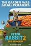 Peter Rabbit 2 - Película 2020 - SensaCine.com.mx