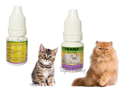 Ubat Sakit Mata Kucing  Anak kucing yang sangat buruk ~ noesuhaimi via