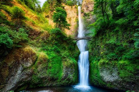 Oregon Usa Waterfall River Stream Forest Trees Bridge Rock Wallpaper