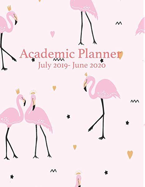 Crazy Flamingo Lady Academic Diary 2019 2020 Monthly Week To View Academic Planner Mid Year