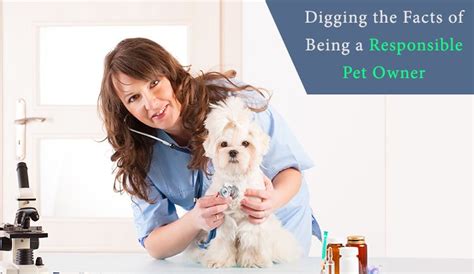 Whether they bark or meow, they deserve the very best. Digging The Facts Of Being A Responsible Pet Owner ...