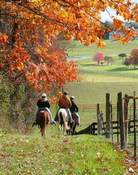 Autumn Trail Ride Horseback Riding Autumn Day Horses