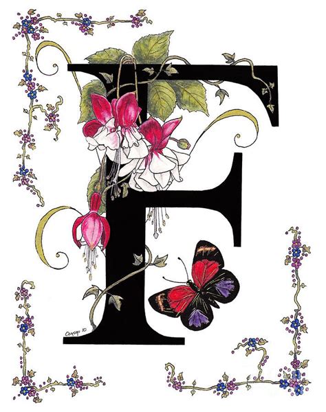 F Is For Fuschias And A Figure Eight Butterfly By Stanza Widen