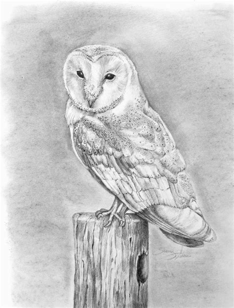 Drawing Easy Barn Drawing Easy Owl Mavieetlereve