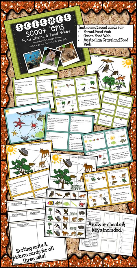 Food Chain And Food Web Scoot Task Cards And Sorts Cool Science