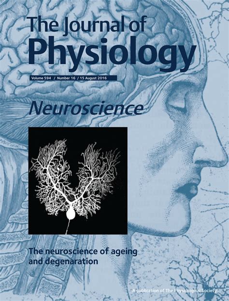 The Journal Of Physiology Vol 594 No 16