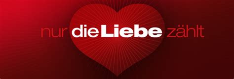 Im jahr 2014 startete eine neuauflage mit wayne carpendale. Logodesign · Sat.1 «Nur die Liebe zählt» — okamo