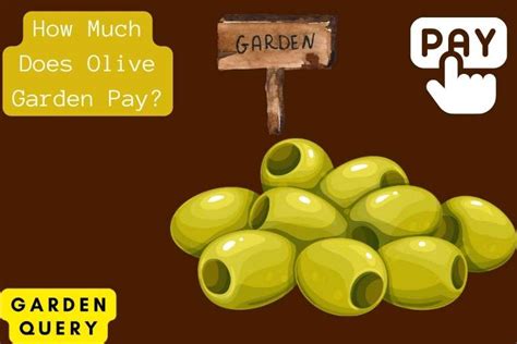 How Much Does Olive Garden Pay Depending On 4 Factors