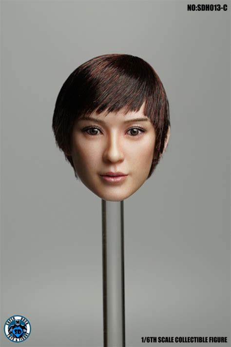Dragon Modelsde Asian Short Haired Headsculp Im Maßstab 16 Online