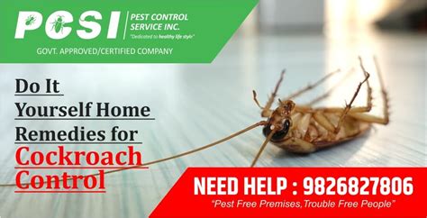 One customer, tom hocking mentioned on google business: Do It Yourself Home Remedies for Cockroach Control. Pest Control Service Inc.