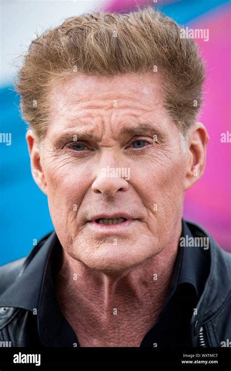 The Form Of David Hasselhoff In Hi Res Stock Photography And Images Alamy