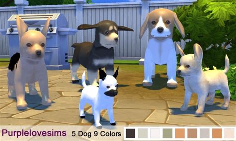 Purplelove Sims Sims 4 Dog Decoration Download