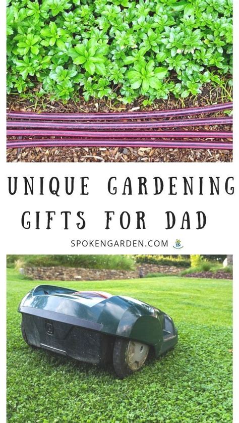 Choosing the best gardening gifts can be a tricky task as you try to balance style, practicality and adding that thoughtful touch for the gardener in your. Pin on Gardening Gifts & Products