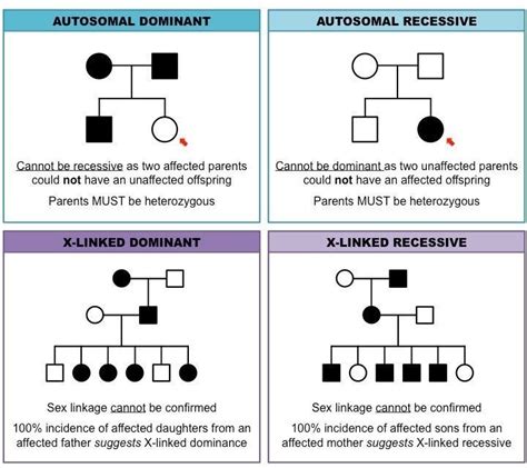 Pedigree Charts Inheritance Cheat Sheet Biology Lessons Biology