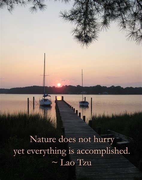 Carol Chapman Inspirational Quote About Nature From Lao Tzu