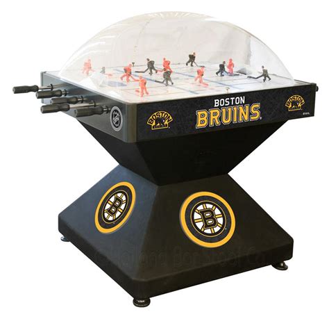 Boston Bruins Dome Hockey Game