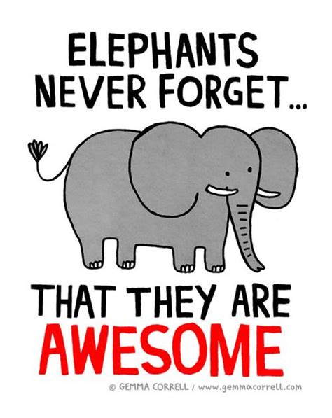 Pin By Sandhora N Dan Fogoros On Elephants Elephant Quotes Elephants Never Forget Elephant Lover