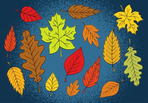 Colorful Autumn Leaves Download Free Vectors Clipart Graphics And Vector Art