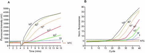 Amplification Curves In Mu Rpa A And Bu Real Time Pcr B Assays