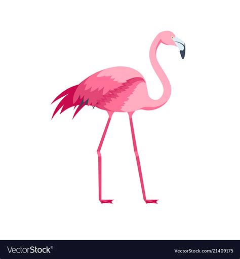 Cartoon Pink Flamingo Bird Royalty Free Vector Image