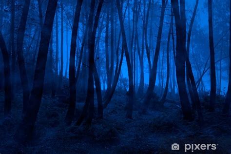 Wall Mural Blue Foggy Woods Pixersuk