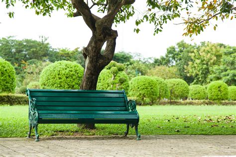 Bench Under A Tree 1947526 Stock Photo At Vecteezy