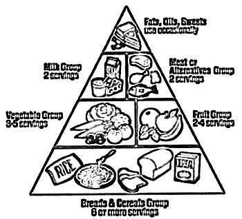 Proteins fats carbohydrates vector food icons carbohydrates food pyramid pyramid food the food pyramid healthy eating pyramid pyramid diet diet pyramid food pyramide pyramid nutrition. Food Pyramid Drawing at GetDrawings | Free download