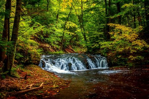 Wallpaper Landscape Waterfall Nature Plants River Wilderness