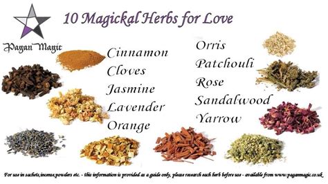 Magickal Herbs Wicca Herbs Herbalism Magickal Herbs