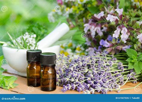Essential Oils With Herbal Flowers Stock Photo Image Of Garden