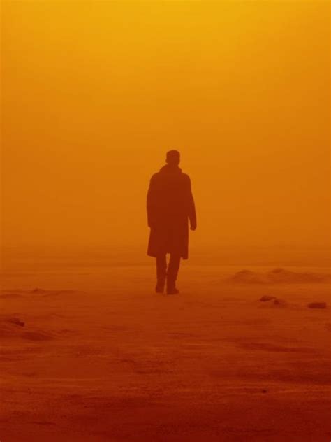 Easily One Of My Favorite Shots From Blade Runner 2049 Because The Shot