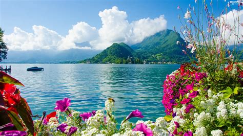 Sea Color Flowers Mountains Beautiful Views Wallpapers 2560x1440