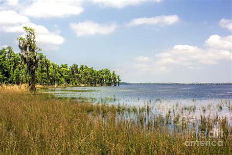 Lake Luisa Florida Photograph By Felix Lai Fine Art America