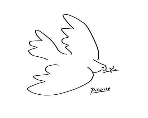 Picasso Dove Of Peace Drawing By Terry Bill Fine Art America