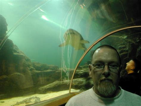 Deep Sea Aquarium Edinburgh Jan 2005 Photo