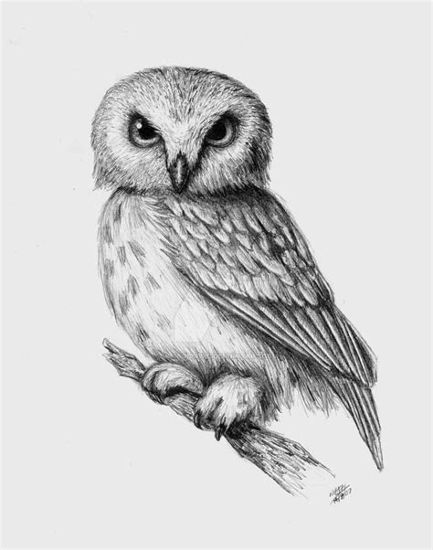 Cute Snowy Owl Coloring Pages Coloring Pages Ideas