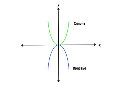 Concave Vs Convex Whats The Difference The Word Counter