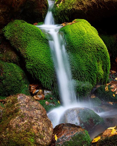 Mossy Mini Waterfall