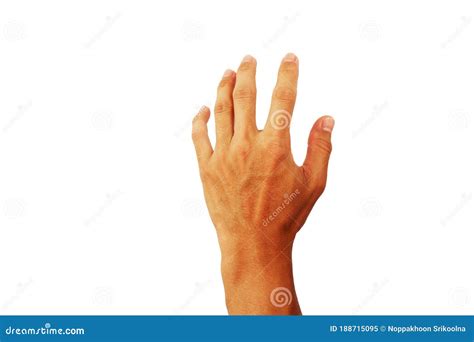 Show Back Hand Of Man Up In Touch Gesture Isolated On White Background