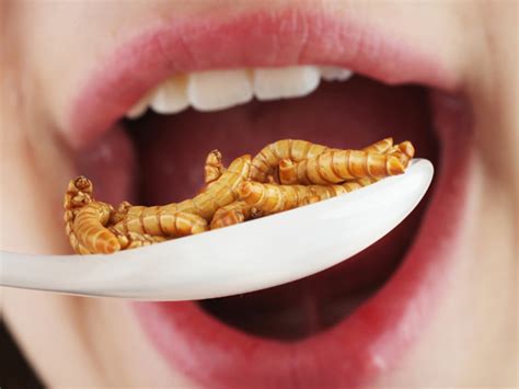 Est Ce Que Manger Des Insectes Est Bon Pour La Santé