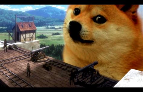 Doge Meme Wallpaper 1920x1080 Wallpapers Hd Quality Posted By Ryan