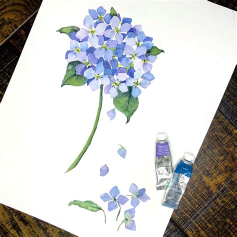 Hydrangea Watercolor Flowers Tutorial Watercolor Hydrangea