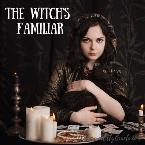 Witches Familiars What Is A Familiar Spirit And Common Familiars Witches Familiar Witch