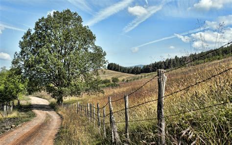 Hdr Tree Fence Field Road Path Trail Hd Wallpaper Nature And