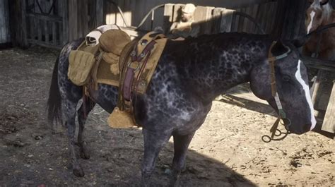 Red Dead Redemption 2 Confira Os Melhores Cavalos Do Jogo