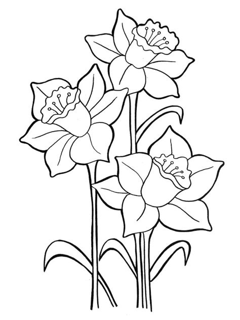 Desene cu Flori de Primavara de colorat imagini și planșe de colorat
