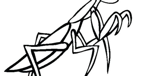 Get cute ants coloring pages. Praying Mantis Coloring Page at GetColorings.com | Free ...