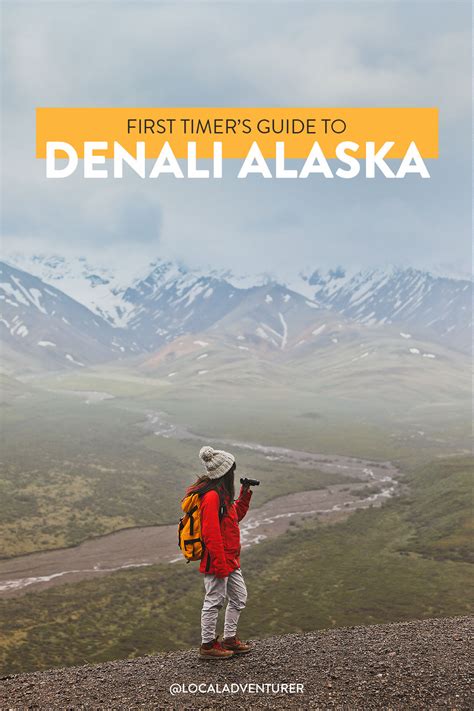 17 Unforgettable Things To Do In Denali National Park Local Adventurer