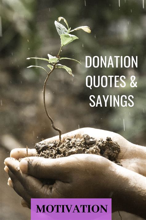 Donation Quotes And Sayings To Inspire You Jamie Smartkins Donation