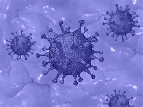 Coronavirus Covid 19 Sinformer Recensement Des Avancées De La